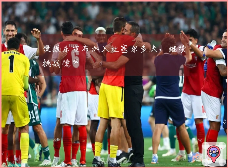 樊振东宣布加入杜塞尔多夫，继续挑战德甲